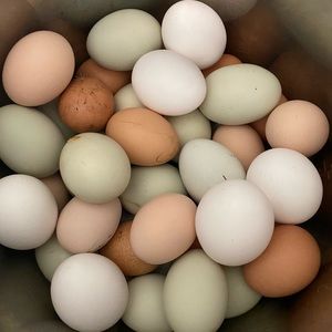 Meet your Posher, Kali